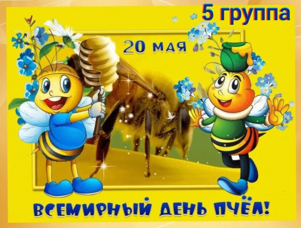 img (2)